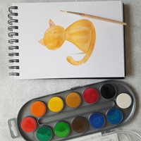 Waterverfset Bruynzeel Kids set 12 kleuren 1 Stuk-1