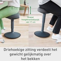 Actieve zitkruk Leitz Ergo met comfortzitting 1 Stuk-9
