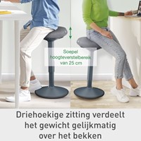 Actieve stakruk Leitz Ergo met comfortzitting 1 Stuk-15