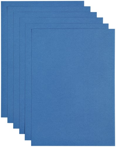 Kopieerpapier Papicolor A4 100gr royal blauw 12 Vel
