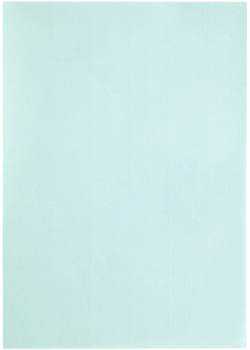 Kopieerpapier Papicolor A4 200gr zeegroen 6 Vel-3