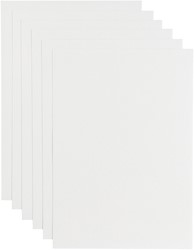 Kopieerpapier Papicolor A4 100gr wit 12 Vel