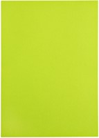 Kopieerpapier Papicolor A4 200gr appelgroen 6 Vel-3