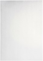 Kopieerpapier Papicolor A4 300gr parelwit 3 Vel-3
