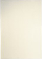 Kopieerpapier Papicolor A4 120gr ivoor 6 Vel-3