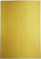Kopieerpapier Papicolor A4 120gr goud 6 Vel-3
