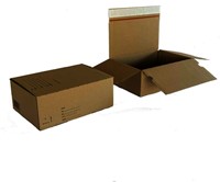 Postpakketbox IEZZY 4 305x215x110mm wit 1 Stuk-2