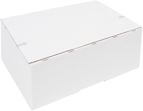 Postpakketbox IEZZY 4 305x215x110mm wit 1 Stuk