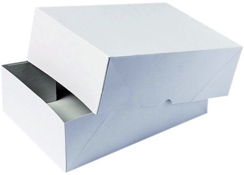 Paraatdoos IEZZY A4 305x215x50mm voor 500vel wit 10 Stuk