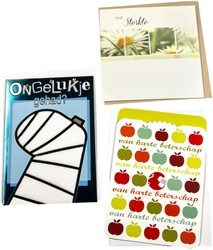 Wenskaart Paperclip beterschap 12 stuks 12 Stuk