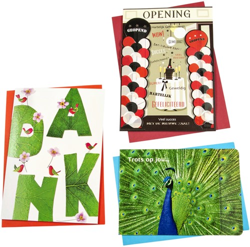 Wenskaart Paperclip diversen 12 stuks 12 Stuk