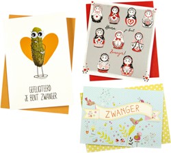 Wenskaart Paperclip zwanger 6 stuks 6 Stuk