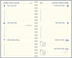 Agvul 2026 Ryam Memoplan 7 7d/2p 1 Stuk