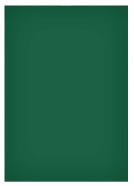 Magneetvel MAUL 200x300mm groen 1 Stuk