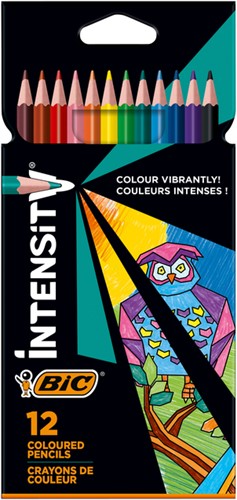 Kleurpotlood Bic Intensity assorti 12 Stuk