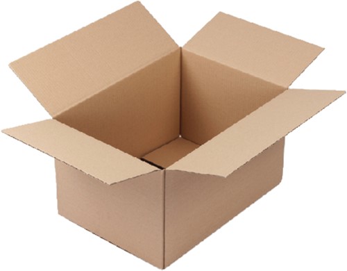 Verzenddoos CleverPack enkel 305x220x250 30st br 30 Stuk