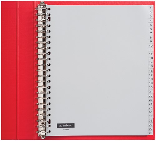 Tabblad Quantore A4 23r pp 1-31 extra breed grijs 1 Set