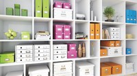 Sorteerbox Leitz WOW Click Store 280x100x370mm wt 1 Stuk-2