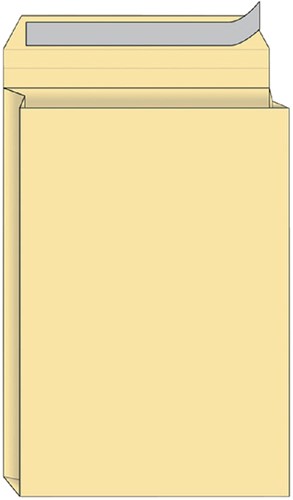 Envelop Quantore monsterzak 230x350x38 170gr cr 125 Stuk
