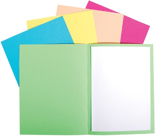 Vouwmap Exacompta Forever A4 170gr lichtblauw 100 Stuk-2