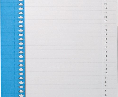 Ruiterstrook Elba Nr 0 297x6mm verticaal blauw 10v 10 Vel
