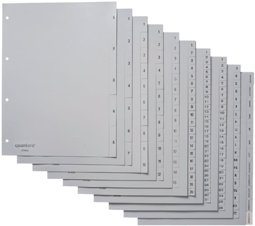 Tabblad Quantore A4 4rings pp Jan-dec grijs 1 Set-2