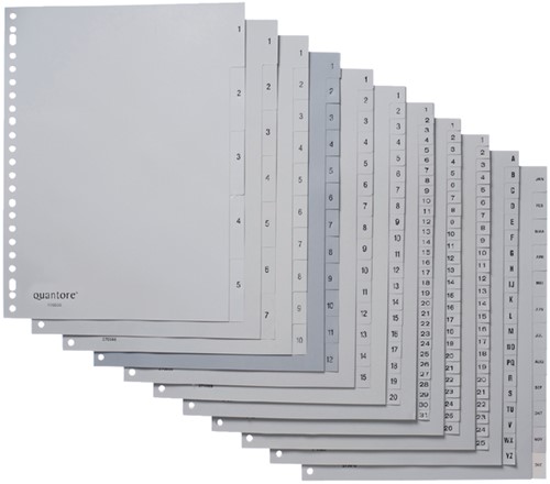 Tabblad Quantore 23rings pp 1-31 grijs 1 Set-2