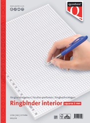 Interieur Quantore A4 23r 70gram ruit 5mm 100vel 1 Stuk