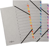 Sorteermap Pagna Easy A4 12 tabs oranje/geel 1 Stuk-2