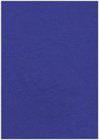 Voorblad Fellowes A4 lederlook royal blauw 25 Stuk-2