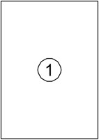 Etiket Avery DP001 210x297 wit 100st 100 Vel-2