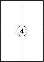 Etiket Avery DP004-100 105x149mm wit 400st 100 Vel-2