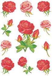 Etiket HERMA 3581 rozen 3 Vel