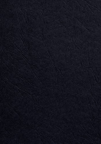 Voorblad Fellowes A4 lederlook zwart 100 Stuk-2